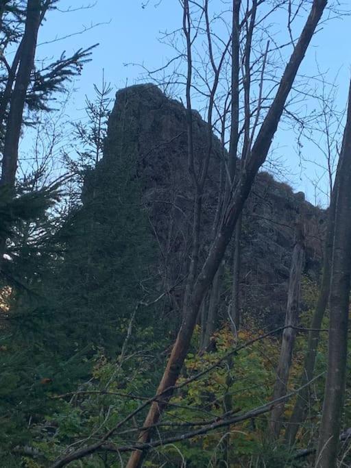 Jermerstein-Haeuschen Braunlage Dış mekan fotoğraf