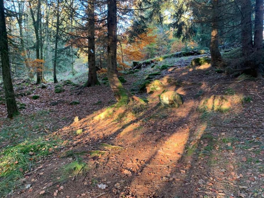 Jermerstein-Haeuschen Braunlage Dış mekan fotoğraf