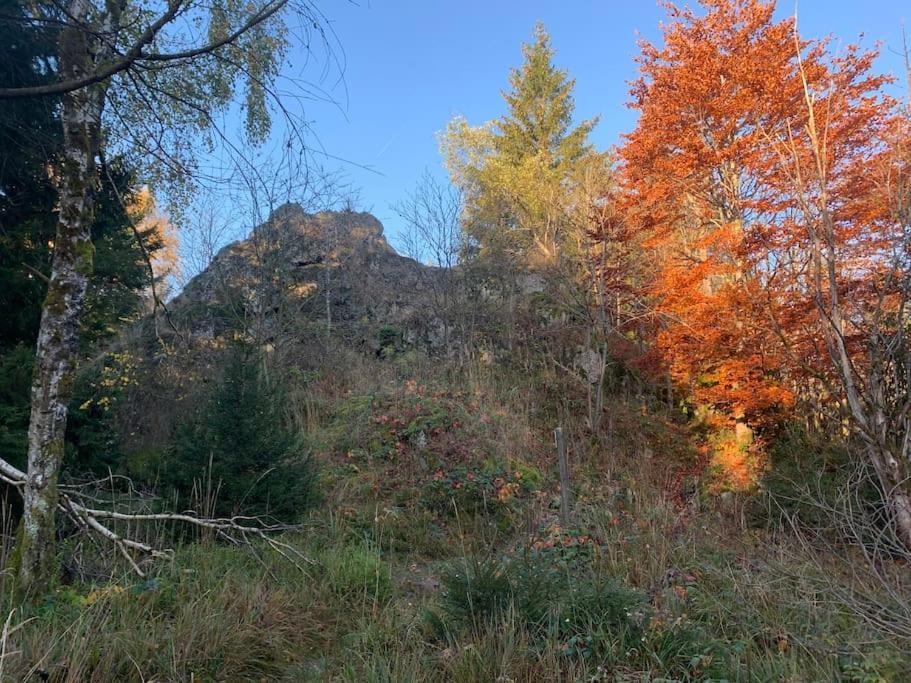 Jermerstein-Haeuschen Braunlage Dış mekan fotoğraf